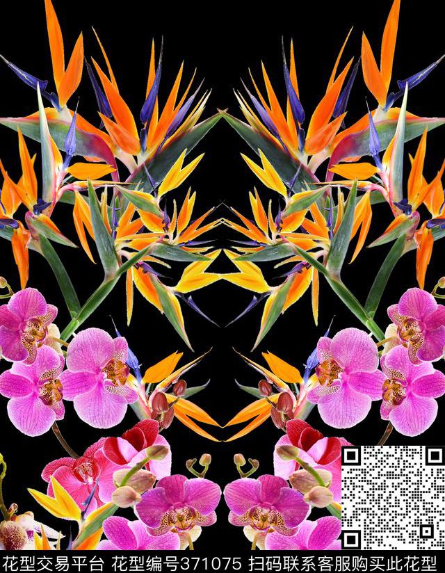 流行数码天堂鸟数码印花华亿平台下载（图片编号: 371075） - 瓦栏（Walan）