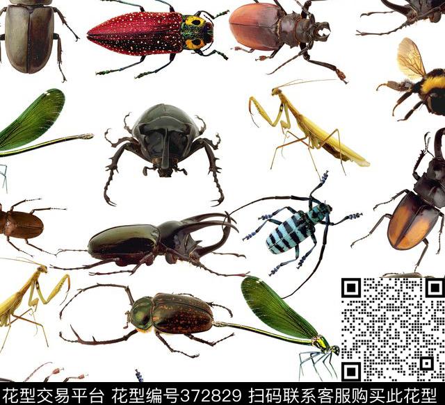 动物虫子昆虫动物纹数码印花华亿平台下载（图片编号: 372829） - 瓦栏（Walan）