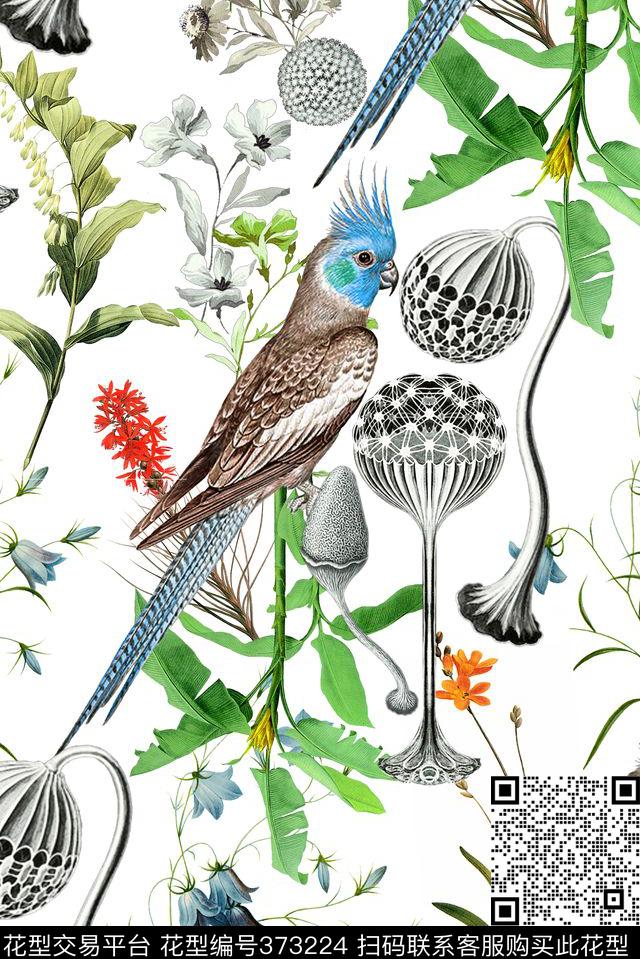热带鸟花卉多肉植物数码印花华亿平台下载（图片编号: 373224） - 瓦栏（Walan）