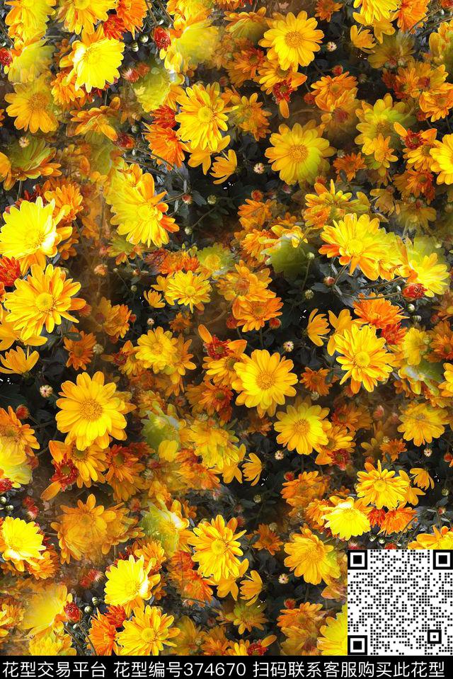 花卉菊花太阳花数码印花华亿平台下载（图片编号: 374670） - 瓦栏（Walan）