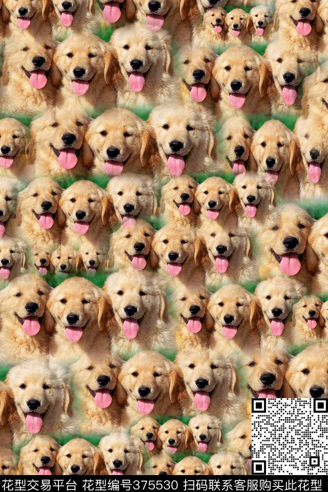 动物小狗趣味数码印花华亿平台下载（图片编号: 375530） - 瓦栏（Walan）