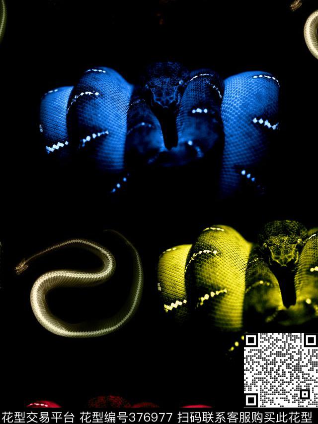 抽象蛇色彩数码印花华亿平台下载（图片编号: 376977） - 瓦栏（Walan）