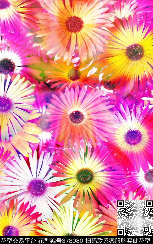 雏菊花卉太阳花数码印花华亿平台下载（图片编号: 378080） - 瓦栏（Walan）
