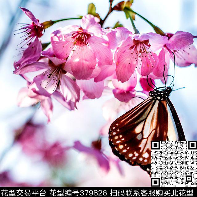 数码丝巾数码印花华亿平台下载（图片编号: 379826） - 瓦栏（Walan）