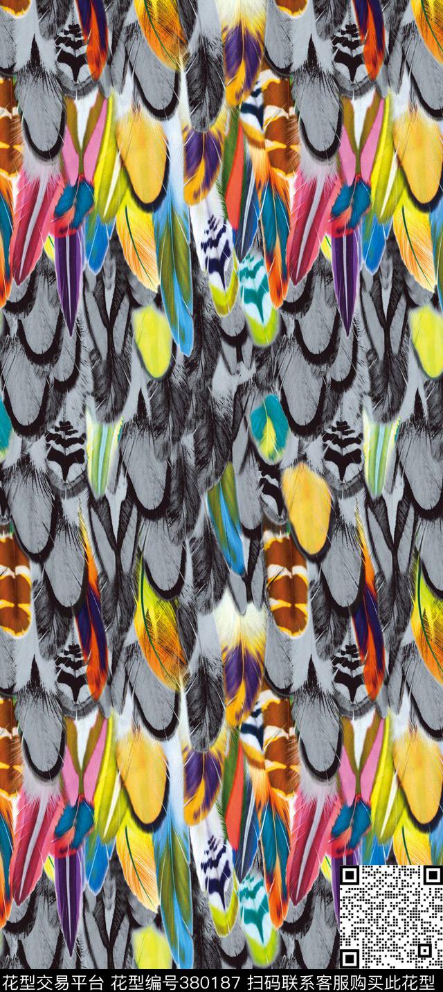休闲黑灰羽毛彩色羽毛黑灰色动物华亿平台动物纹数码印花华亿平台下载（图片编号: 380187） - 瓦栏（Walan）
