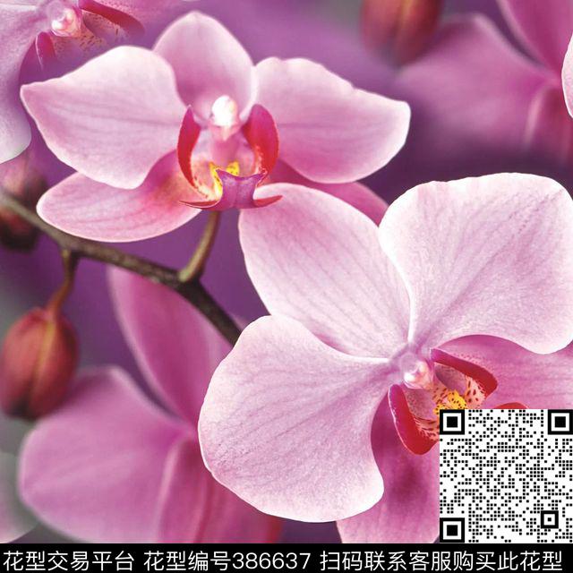 复古浪漫兰花数码印花华亿平台下载（图片编号: 386637） - 瓦栏（Walan）