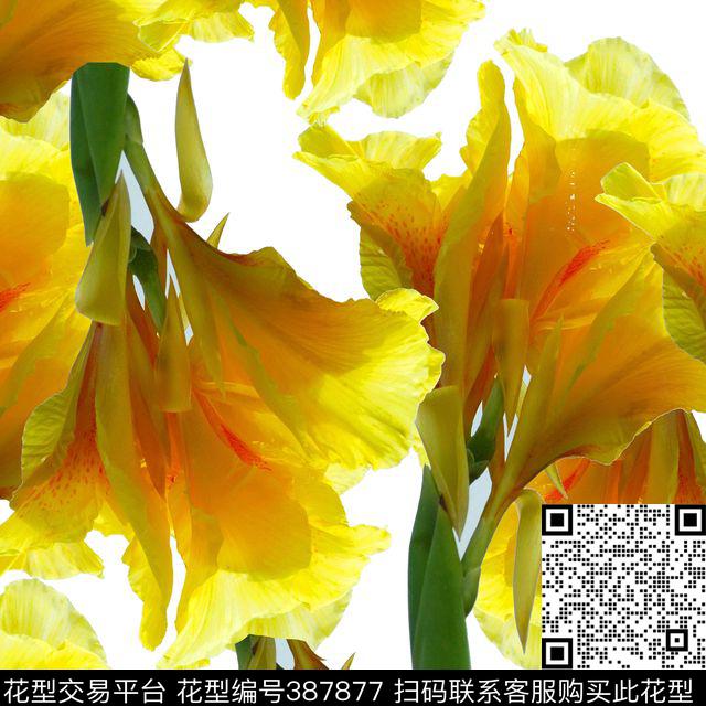 潮流复古美人蕉数码印花华亿平台下载（图片编号: 387877） - 瓦栏（Walan）