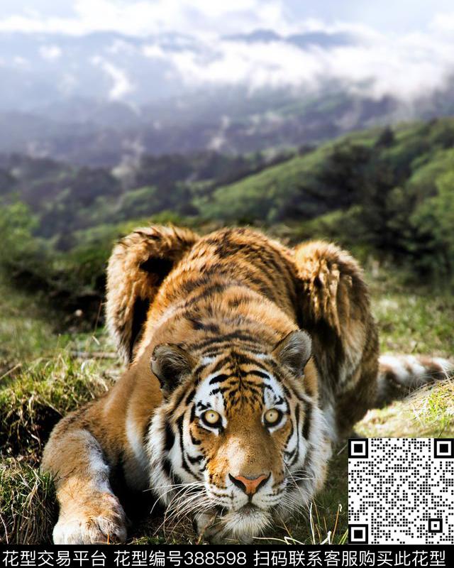老虎风景花草数码印花华亿平台下载（图片编号: 388598） - 瓦栏（Walan）