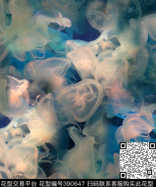 潮流复古水母数码印花华亿平台下载（图片编号: 390647） - 瓦栏（Walan）