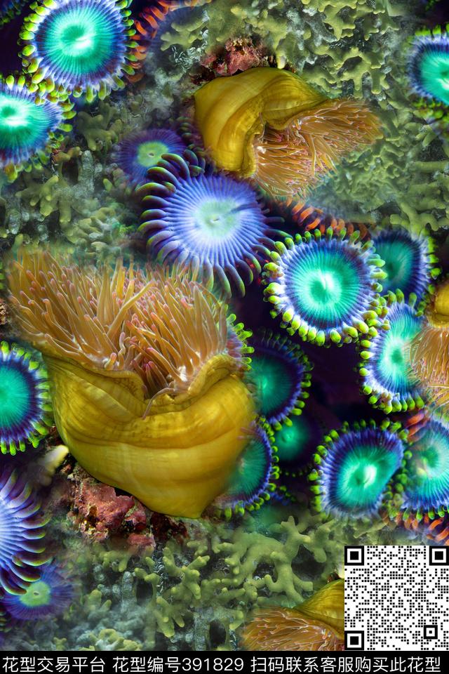 深海夜光海洋生物海洋数码印花华亿平台下载（图片编号: 391829） - 瓦栏（Walan）