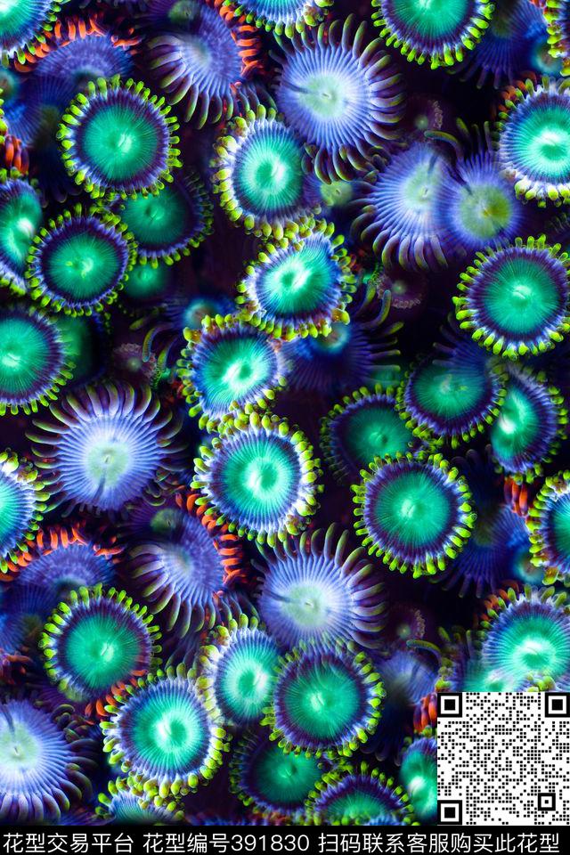 海洋海洋生物深海夜光数码印花华亿平台下载（图片编号: 391830） - 瓦栏（Walan）