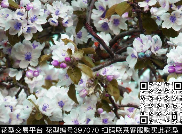 田园唯美雪纺数码印花华亿平台下载（图片编号: 397070） - 瓦栏（Walan）