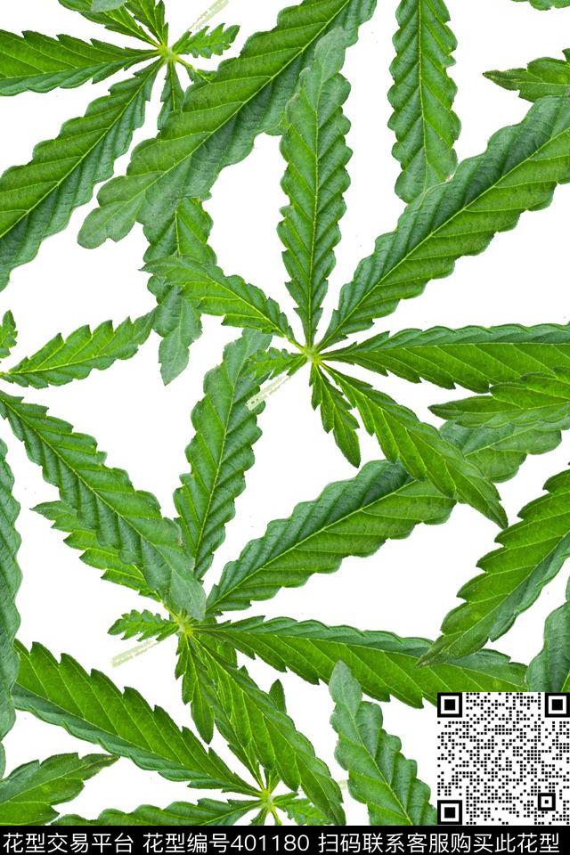 热带观叶植物叶子热带_海洋数码印花华亿平台下载（图片编号: 401180） - 瓦栏（Walan）