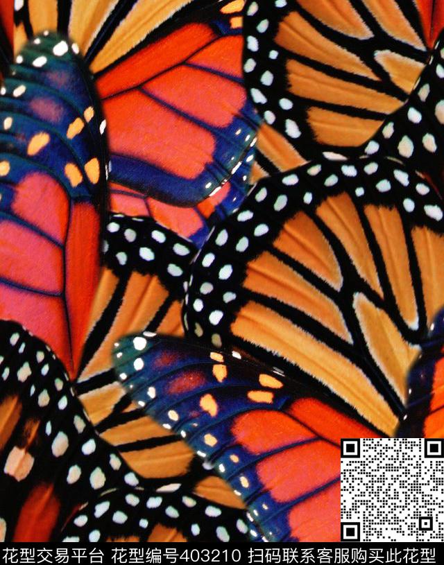 蝴蝶纹理100元买断区数码印花华亿平台下载（图片编号: 403210） - 瓦栏（Walan）