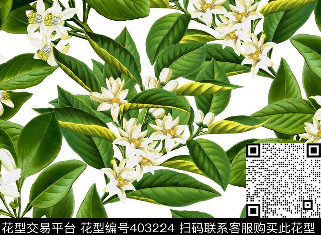 复古花卉100元买断区数码印花华亿平台下载（图片编号: 403224） - 瓦栏（Walan）