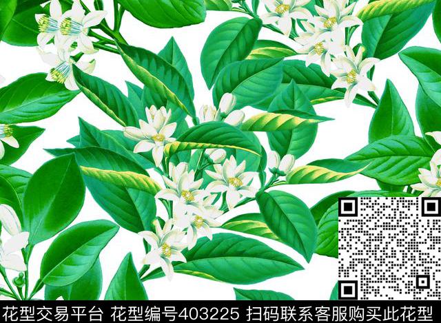 复古花卉100元买断区数码印花华亿平台下载（图片编号: 403225） - 瓦栏（Walan）