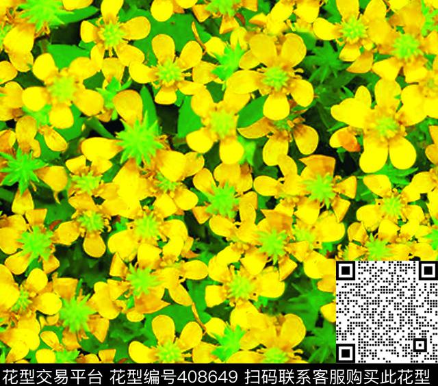 小黄花数码印花华亿平台下载（图片编号: 408649） - 瓦栏（Walan）