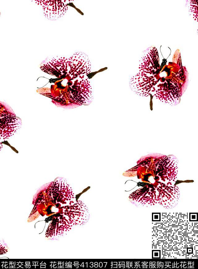 花蝴蝶蝴蝶兰数码印花华亿平台下载（图片编号: 413807） - 瓦栏（Walan）