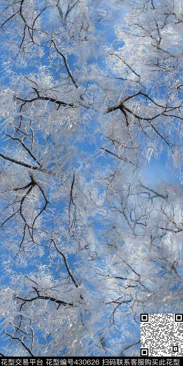 风景雪松照片数码印花华亿平台下载（图片编号: 430626） - 瓦栏（Walan）