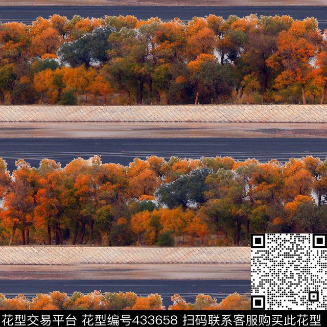 潮流复古男装华亿平台数码印花华亿平台下载（图片编号: 433658） - 瓦栏（Walan）