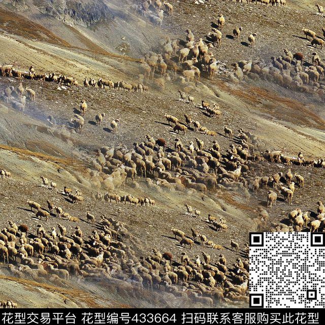 潮流动物复古数码印花华亿平台下载（图片编号: 433664） - 瓦栏（Walan）