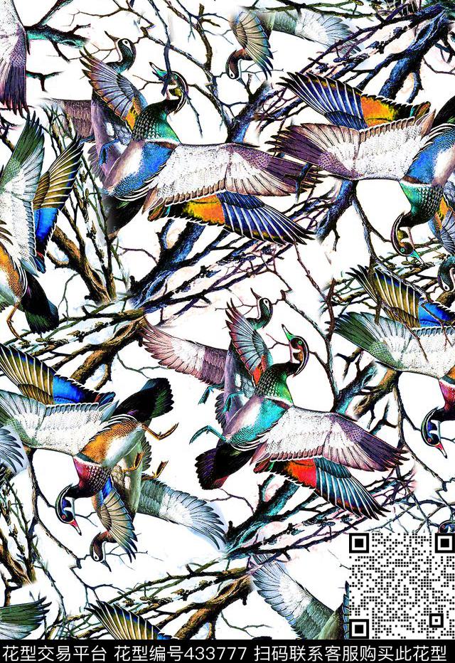 鸟热带风格四方连续数码印花华亿平台下载（图片编号: 433777） - 瓦栏（Walan）
