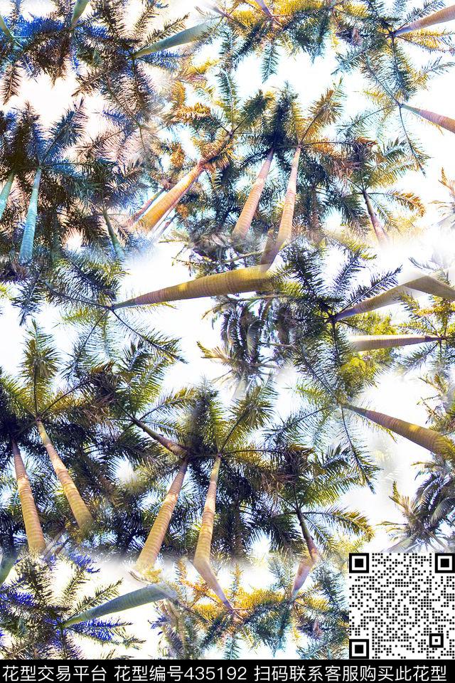 棕榈树热带棕榈树四方连续数码印花华亿平台下载（图片编号: 435192） - 瓦栏（Walan）