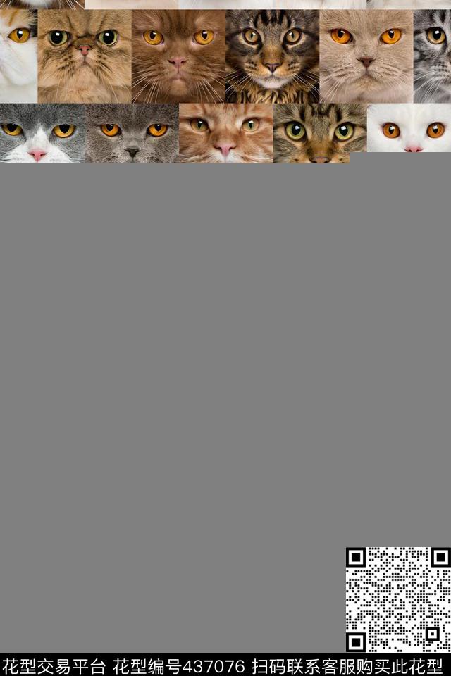 女装高清满幅框格大花猫满幅框格大花猫动物华亿平台动物纹数码印花华亿平台下载（图片编号: 437076） - 瓦栏（Walan）