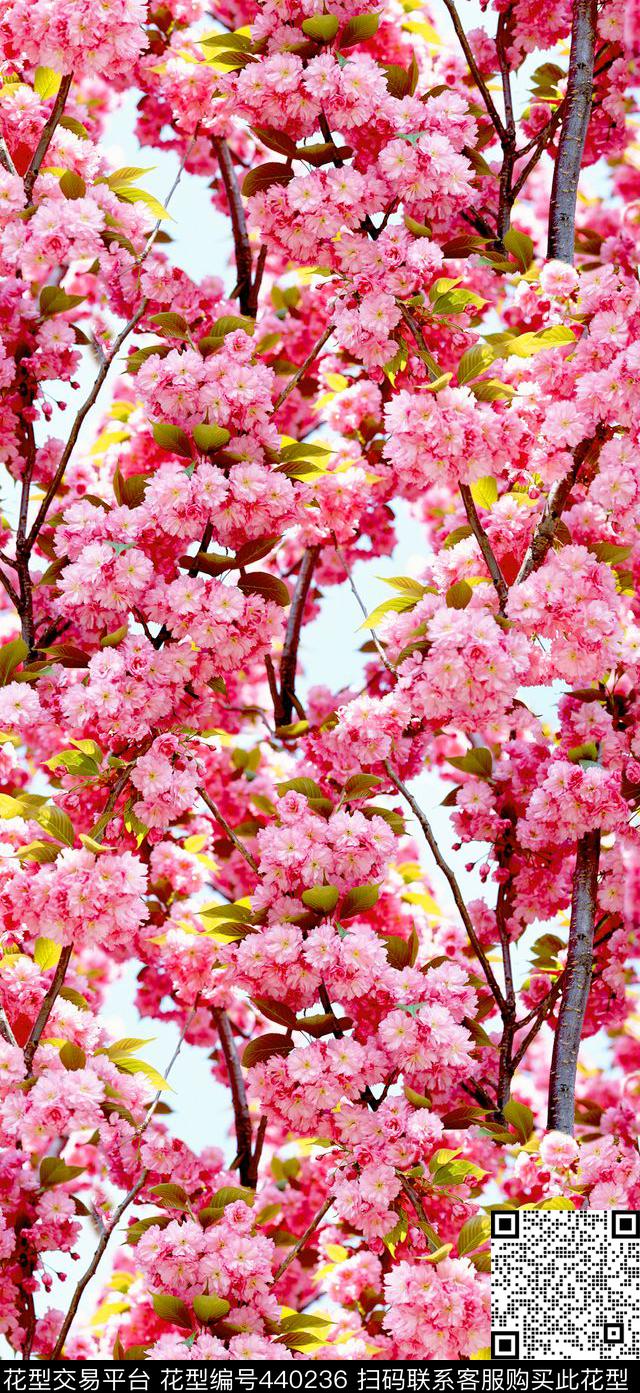 照片风景彩色花纹写实花卉樱花数码印花华亿平台下载（图片编号: 440236） - 瓦栏（Walan）