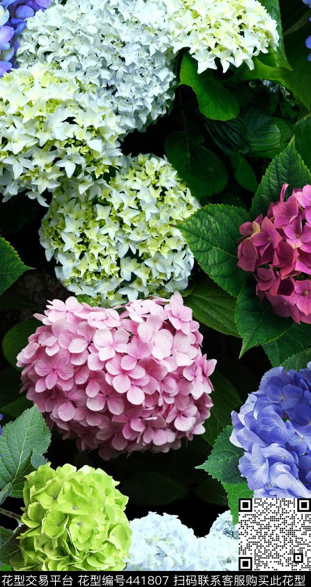 写实花卉绣球花数码印花华亿平台下载（图片编号: 441807） - 瓦栏（Walan）