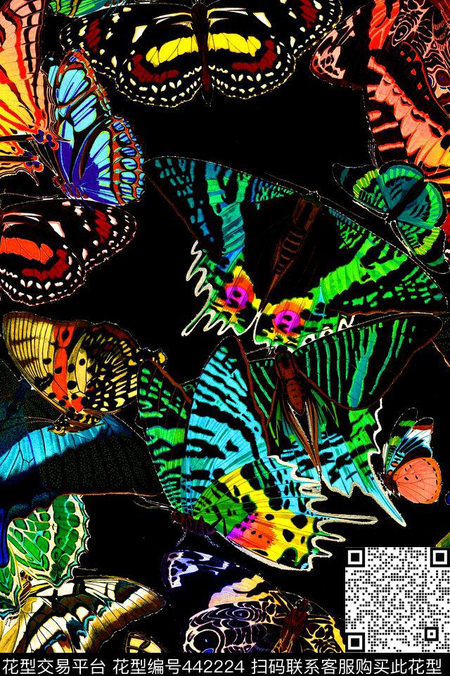 时尚蝴蝶飞蛾数码印花华亿平台下载（图片编号: 442224） - 瓦栏（Walan）