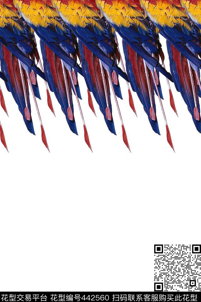 趋势五彩鹦鹉羽毛数码印花华亿平台下载（图片编号: 442560） - 瓦栏（Walan）