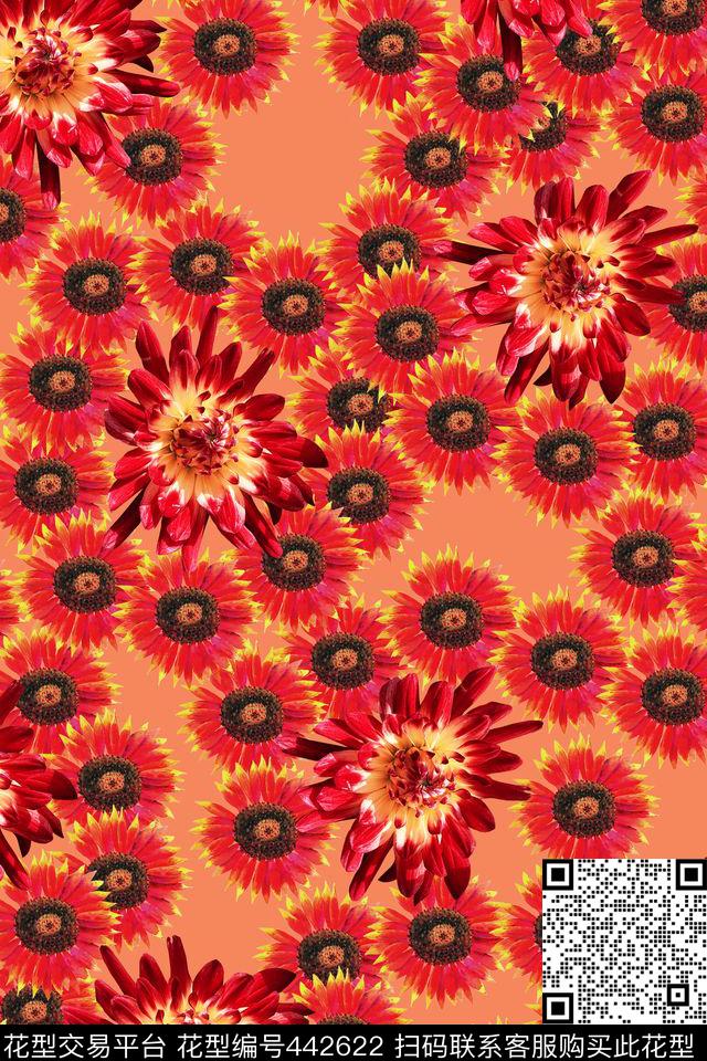 花卉菊花夹克数码印花华亿平台下载（图片编号: 442622） - 瓦栏（Walan）