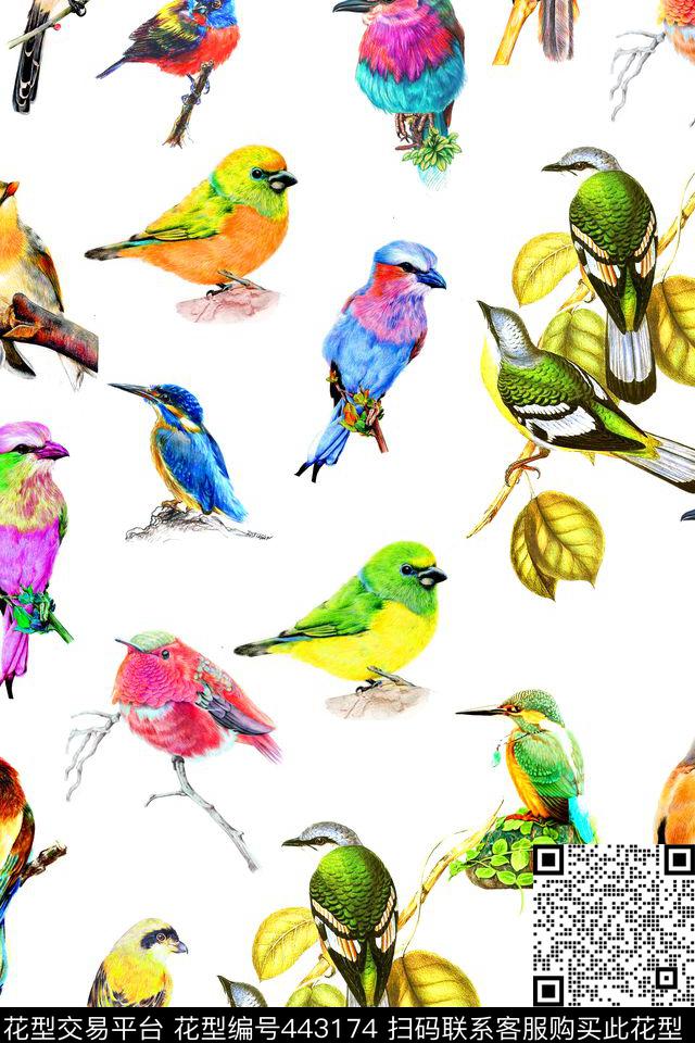 时尚手绘小鸟蜂鸟数码印花华亿平台下载（图片编号: 443174） - 瓦栏（Walan）