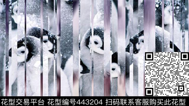 镜面南极洲企鹅数码印花华亿平台下载（图片编号: 443204） - 瓦栏（Walan）
