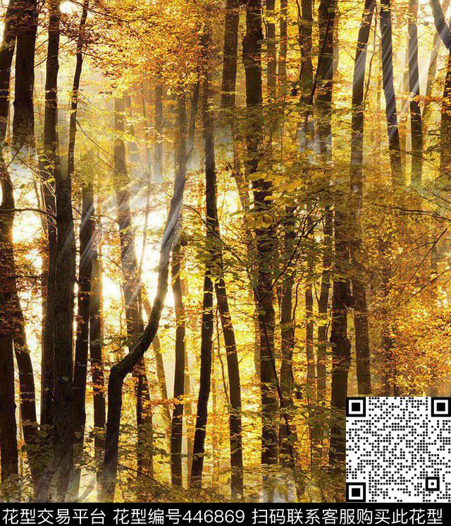 L.D~景观风景树林数码印花华亿平台下载（图片编号: 446869） - 瓦栏（Walan）