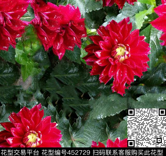 花卉牡丹田园数码印花华亿平台下载（图片编号: 452729） - 瓦栏（Walan）