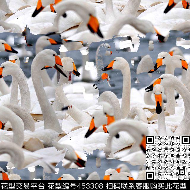 潮流复古男装华亿平台数码印花华亿平台下载（图片编号: 453308） - 瓦栏（Walan）