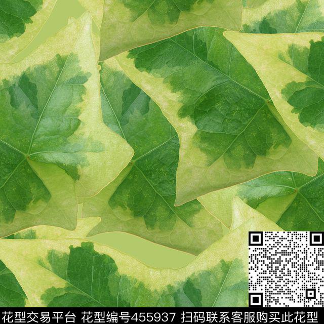 夹克华亿平台男装华亿平台清新数码印花华亿平台下载（图片编号: 455937） - 瓦栏（Walan）