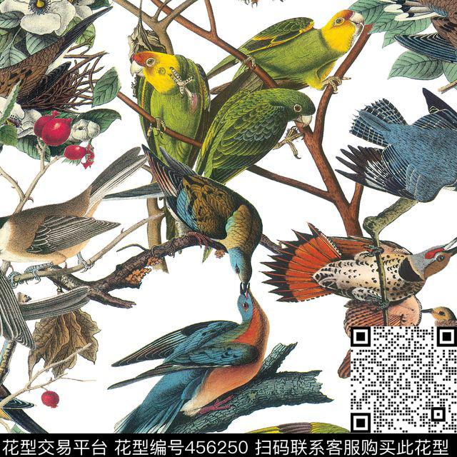 热带雨林DG小鸟树枝小鸟数码印花华亿平台下载（图片编号: 456250） - 瓦栏（Walan）