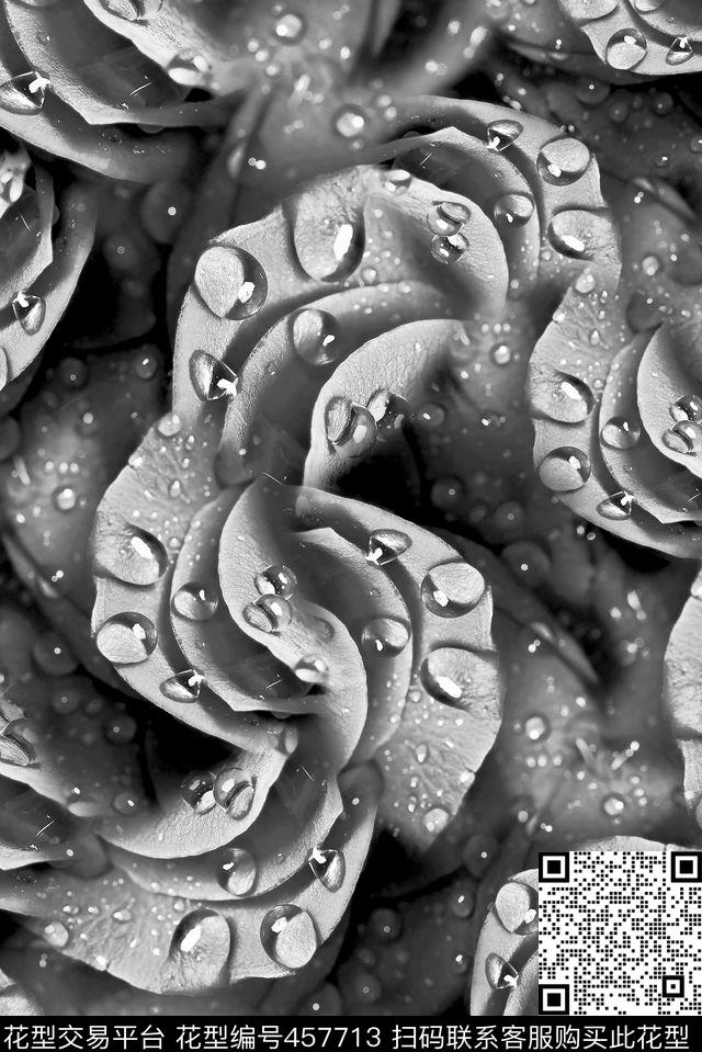 花边花卉水珠数码印花华亿平台下载（图片编号: 457713） - 瓦栏（Walan）