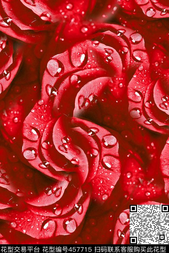 花卉水珠花边数码印花华亿平台下载（图片编号: 457715） - 瓦栏（Walan）