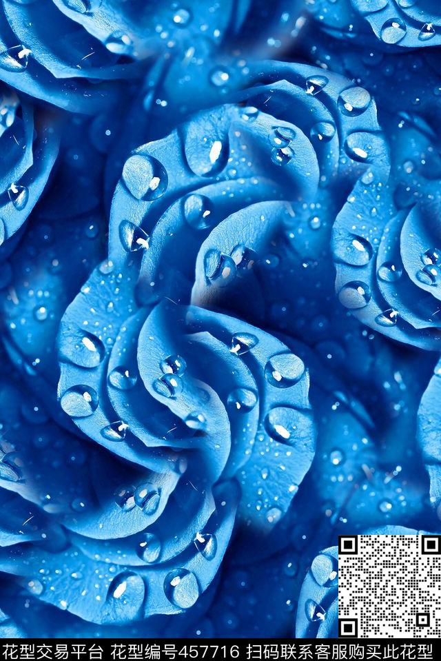 花卉水珠花边数码印花华亿平台下载（图片编号: 457716） - 瓦栏（Walan）