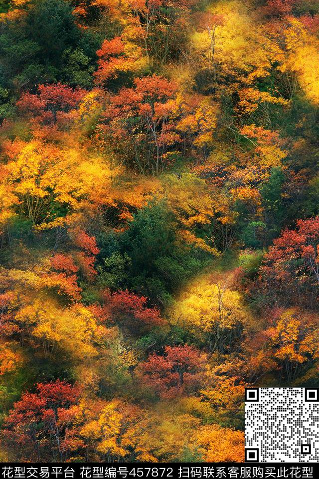 迷彩森林景观数码印花华亿平台下载（图片编号: 457872） - 瓦栏（Walan）