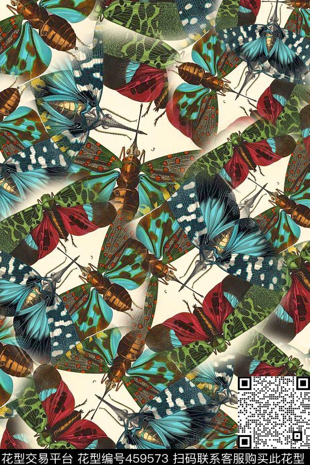 蜻蜓黄蜂昆虫传统印花华亿平台下载（图片编号: 459573） - 瓦栏（Walan）