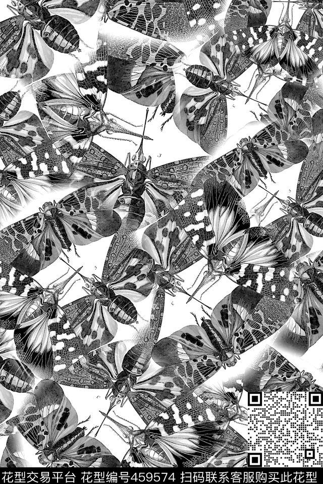 蜻蜓黄蜂昆虫传统印花华亿平台下载（图片编号: 459574） - 瓦栏（Walan）