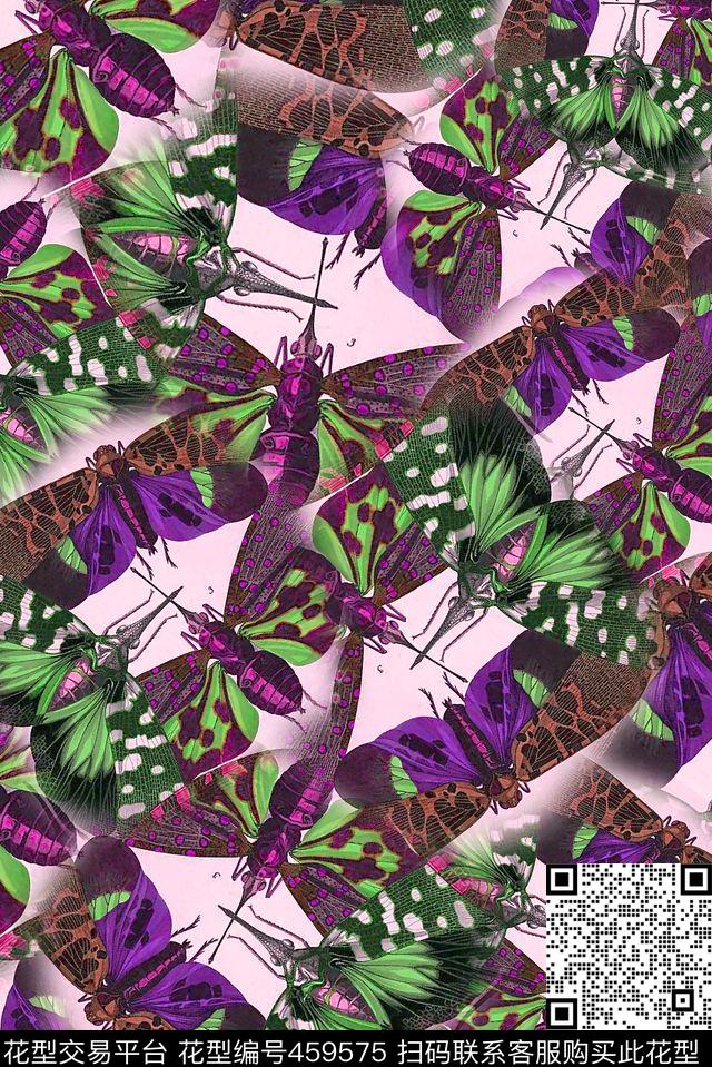 蜻蜓黄蜂昆虫传统印花华亿平台下载（图片编号: 459575） - 瓦栏（Walan）