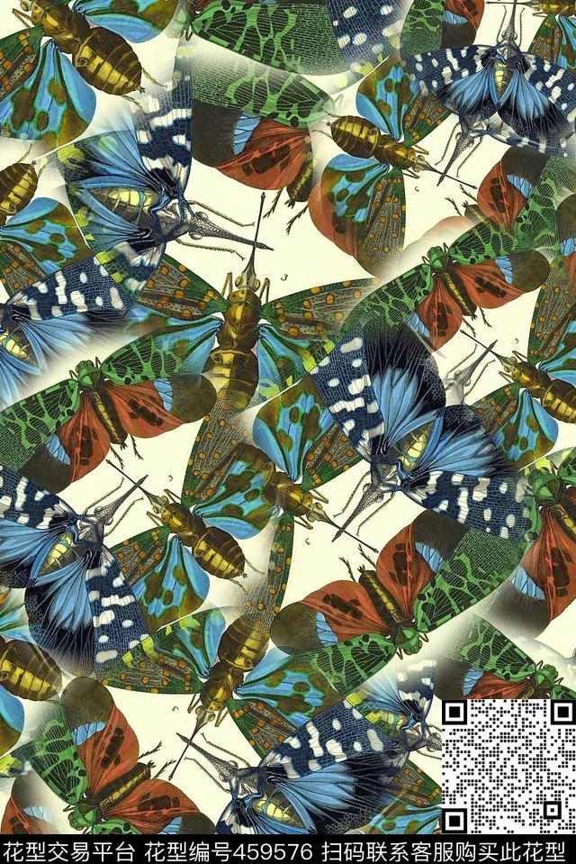 蜻蜓黄蜂昆虫传统印花华亿平台下载（图片编号: 459576） - 瓦栏（Walan）