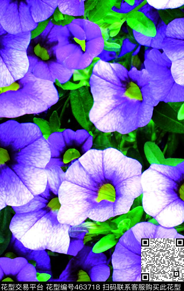 现代鲜花牵牛花数码印花华亿平台下载（图片编号: 463718） - 瓦栏（Walan）