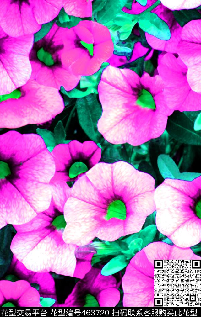 现代鲜花牵牛花数码印花华亿平台下载（图片编号: 463720） - 瓦栏（Walan）